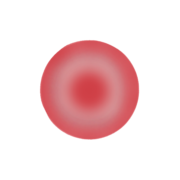 1:Target cell