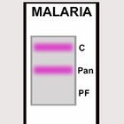 Rapid diagnostic tests