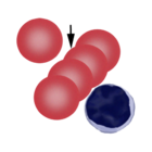 Rouleaux