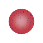 Basophilic stippling