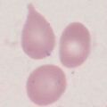 Thumbnail for version as of 21:32, 26 March 2023