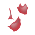 Fragmented cells (schistocytes)
