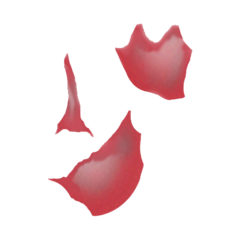 Fr1.png
