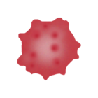 Echinocyte
