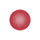 Basophilic stippling