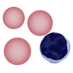 HypoC1.png