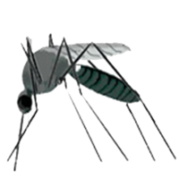 Mosquito.png