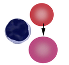 Polychromatic cells