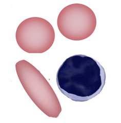 Pen1A.png