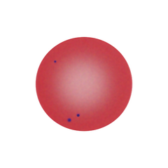 PH1.png