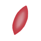 Boat-shaped cells
