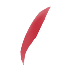 SC1.png
