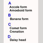 Specific parasite forms