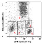 CD45 populations.jpg