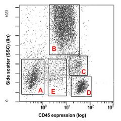 CD45 populations.jpg