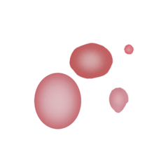 Fr3.png