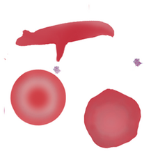 SCP1.png