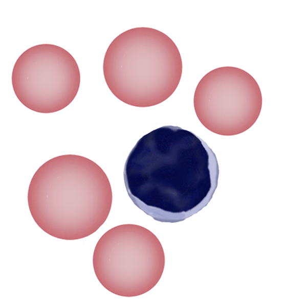 File:HypoC0.png