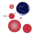 Thumbnail for version as of 16:34, 19 March 2023